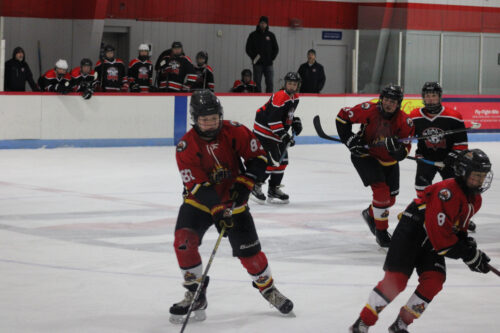 Lots of hockey