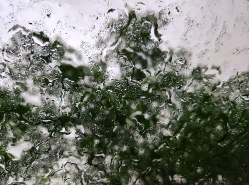 Rainfall May 2024