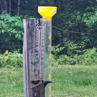 Rainfall June 2024