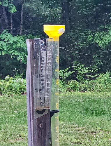 Rainfall May 2024