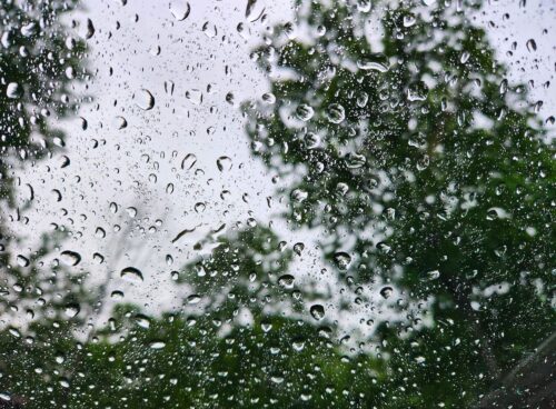 Rainfall May 2024