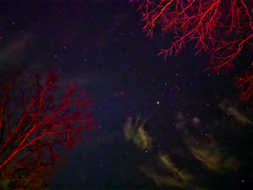 A majestic view of creation reflecting awesome wonder.